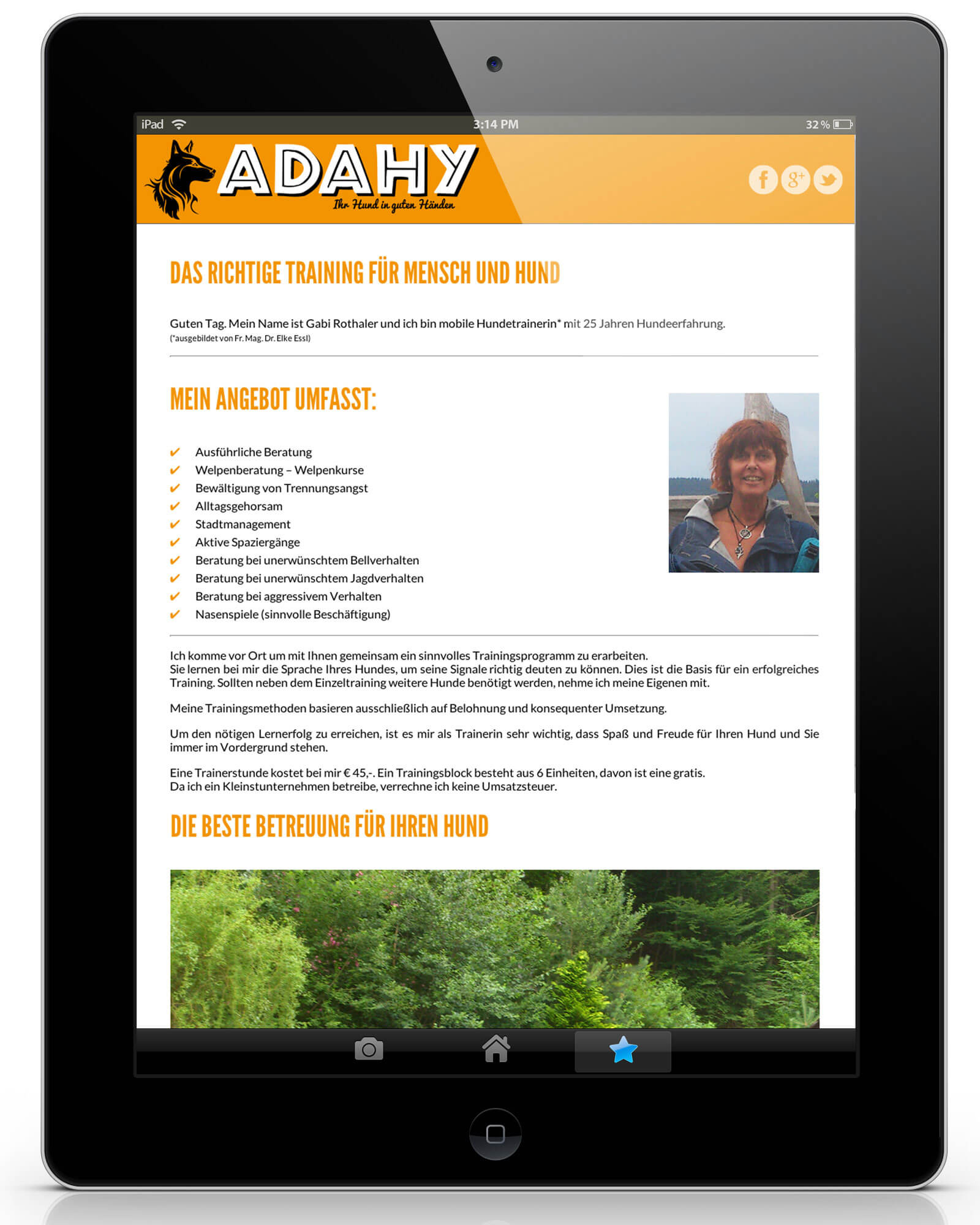 Adahy: CI, Webdesign