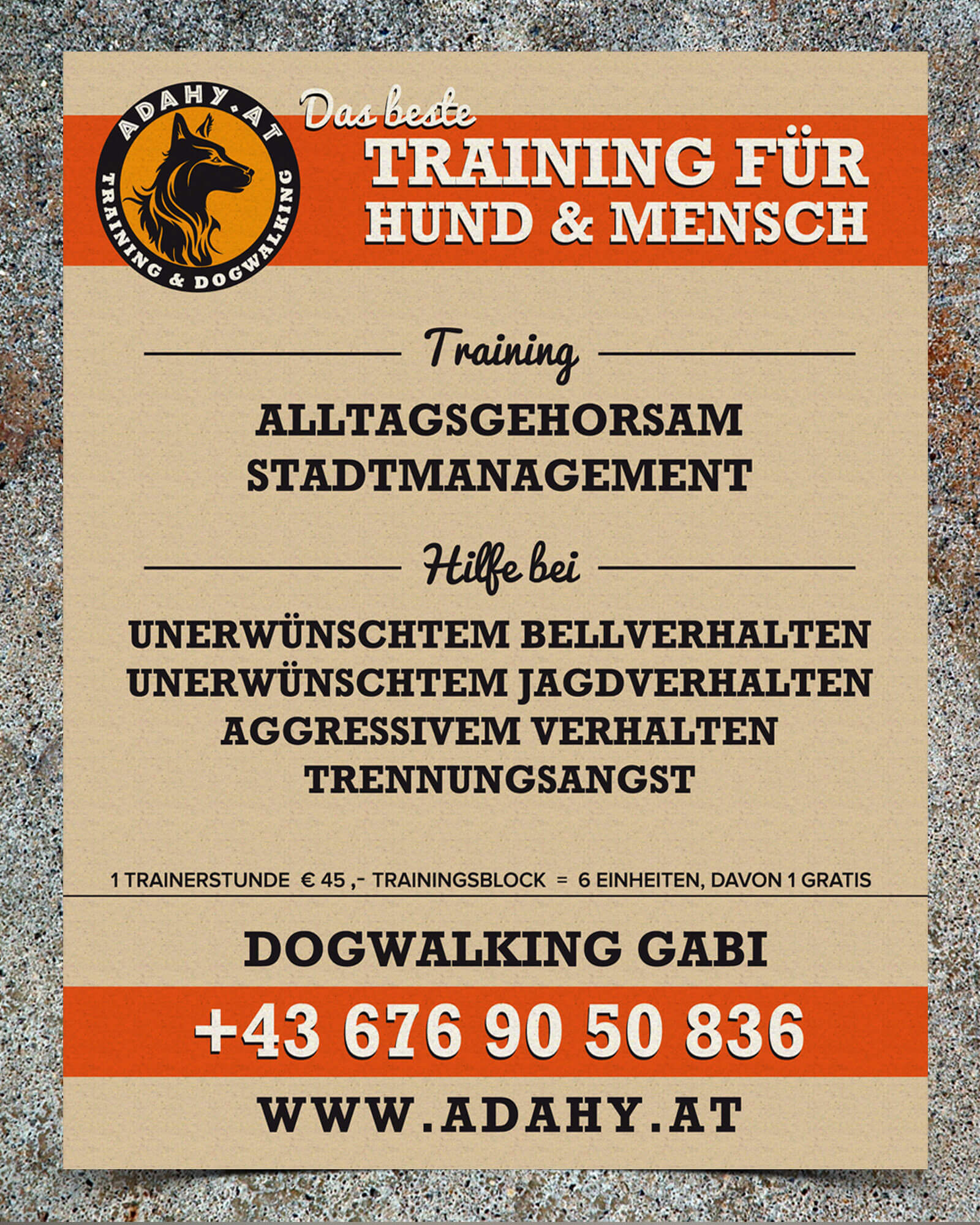 Hundetraining Adahy: Flyer